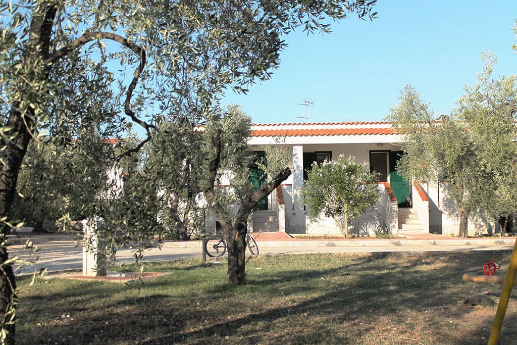 Tenuta Montincello